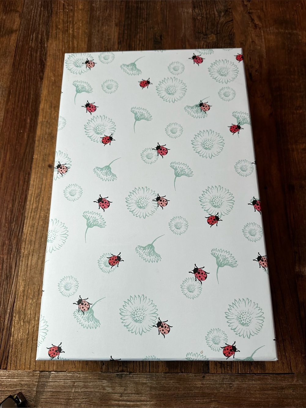 Decorative Ladybug Floral Storage Box in White and Pink